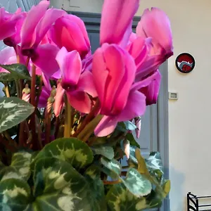 https://flat66.it-lombardy.com